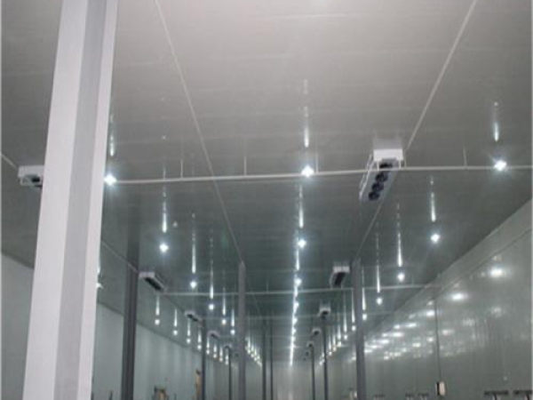 建造安裝食品低溫冷藏庫(kù)有哪些因素影響造價(jià)？